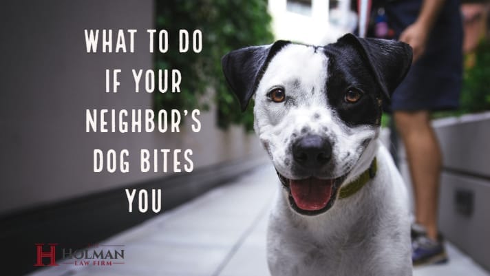 What to do if your neighbor's dog bites you