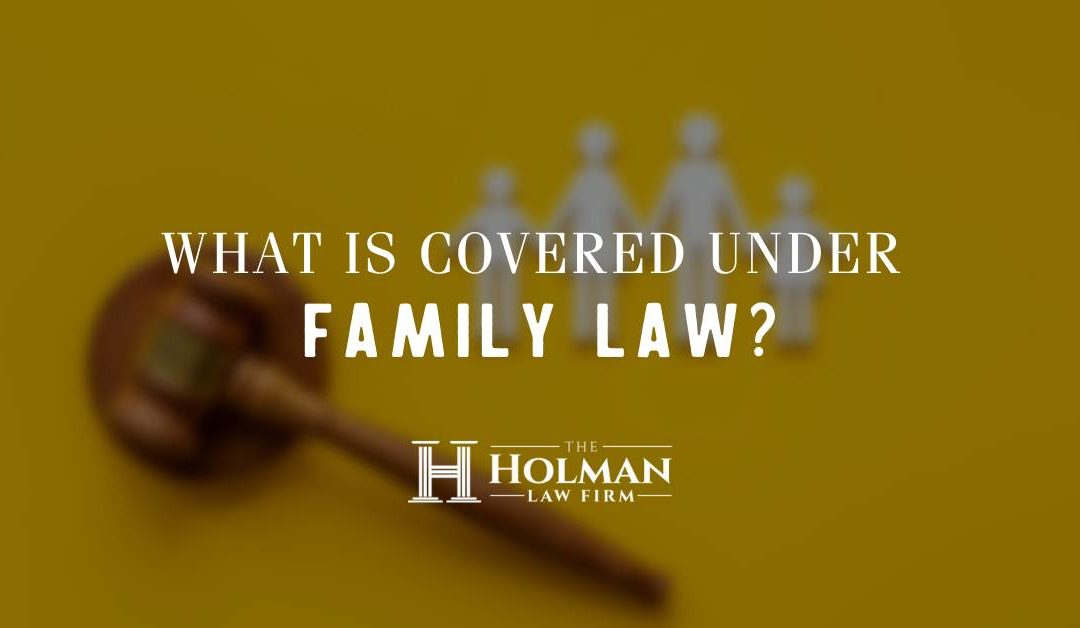 What is covered under family law?